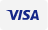 Visa Logo